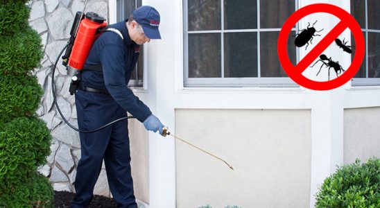 Çavdır Dezenfeksiyon böcek ilaçlama ve haşere kontrolü — ilaclama-tr.com